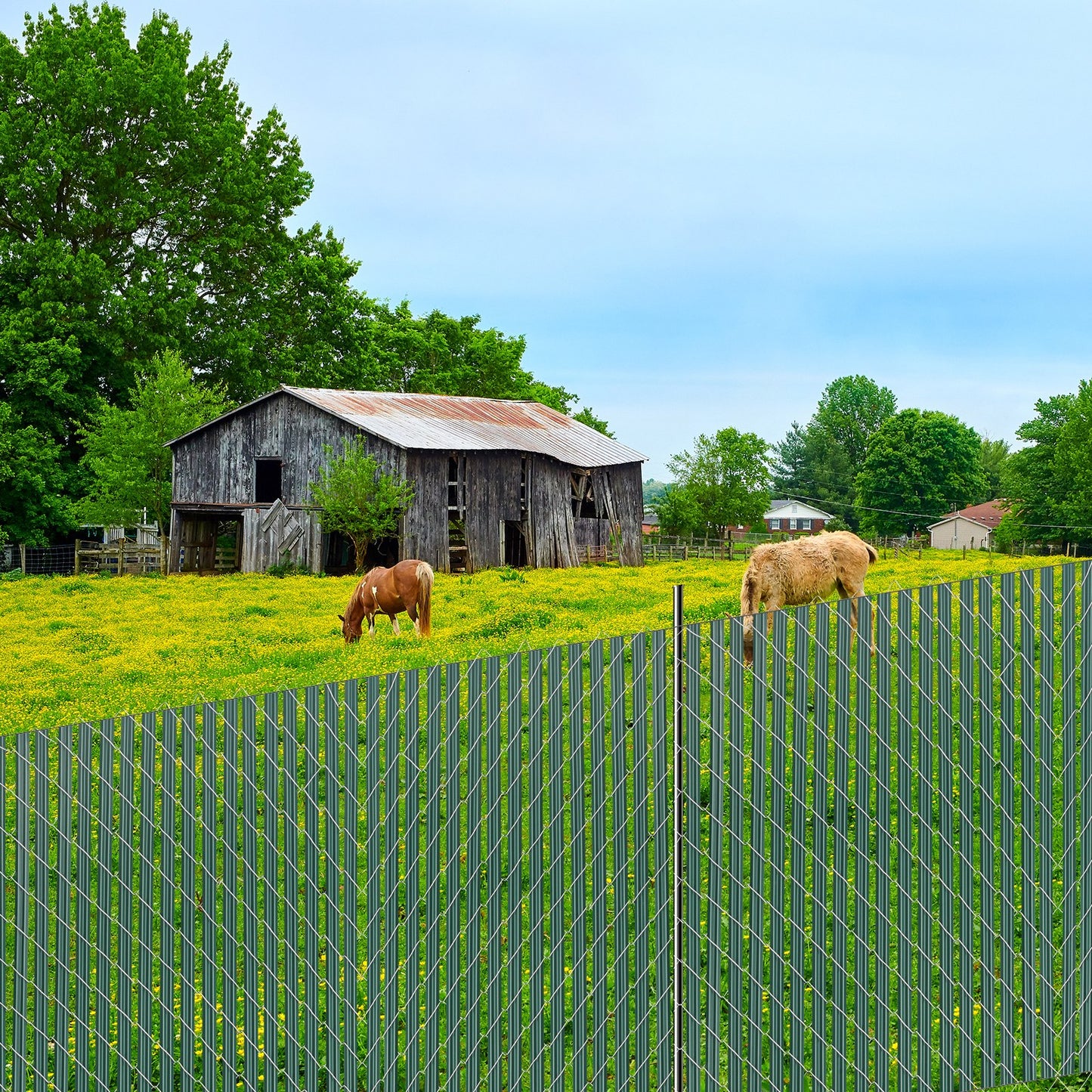 Bottom Locking Privacy Slats, Single-Wall Vertical Bottom-Locking Slats for Chain-Link Fence, High-Density HDPE Chain Link Slats Ideally Fit 4' High Fence for Garden, Farm, Sports Field(Green)