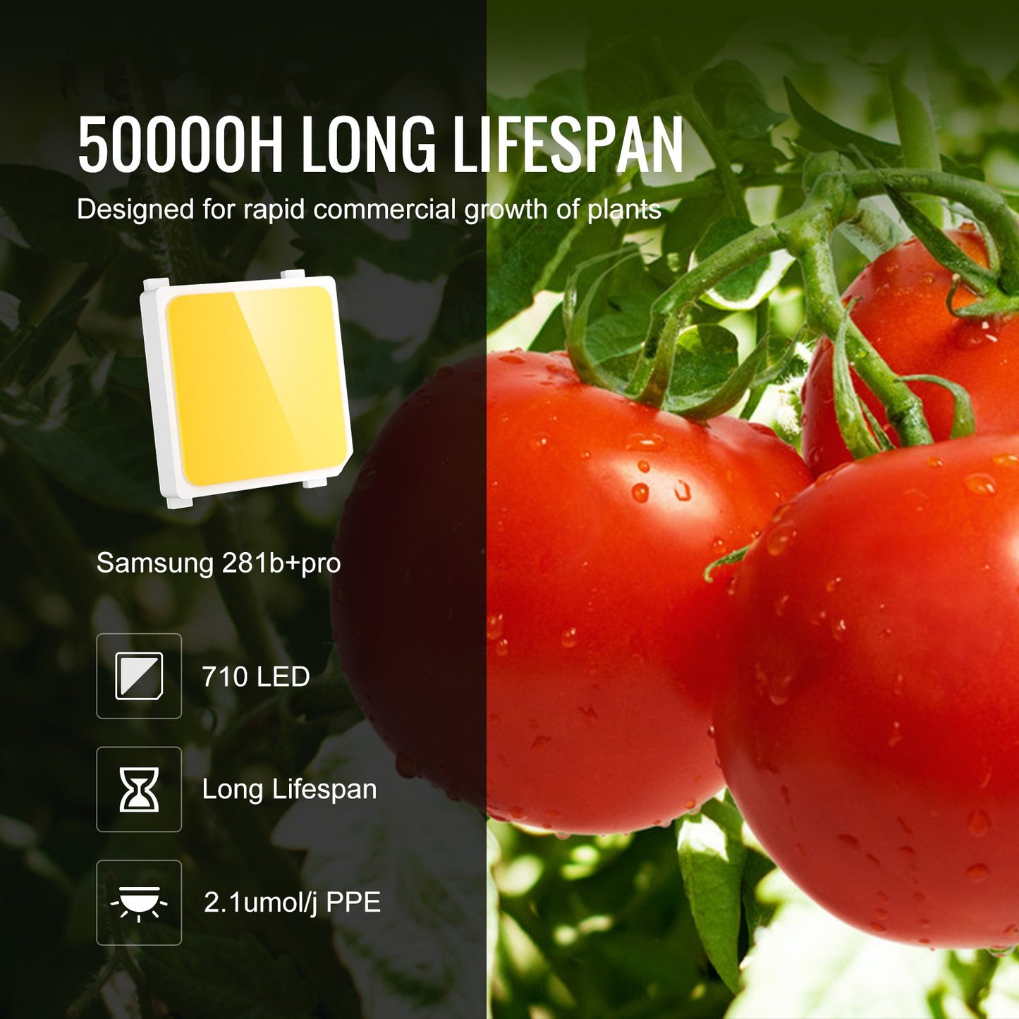 LED Grow Light, 300W Full Spectrum Dimmable, High Yield Samsung 2B1B Diodes Growing Lamp for Indoor Plants Seedling Veg and Bloom Greenhouse Growing, Daisy Chain Driver for 3x3/4x4 ft Grow Tent