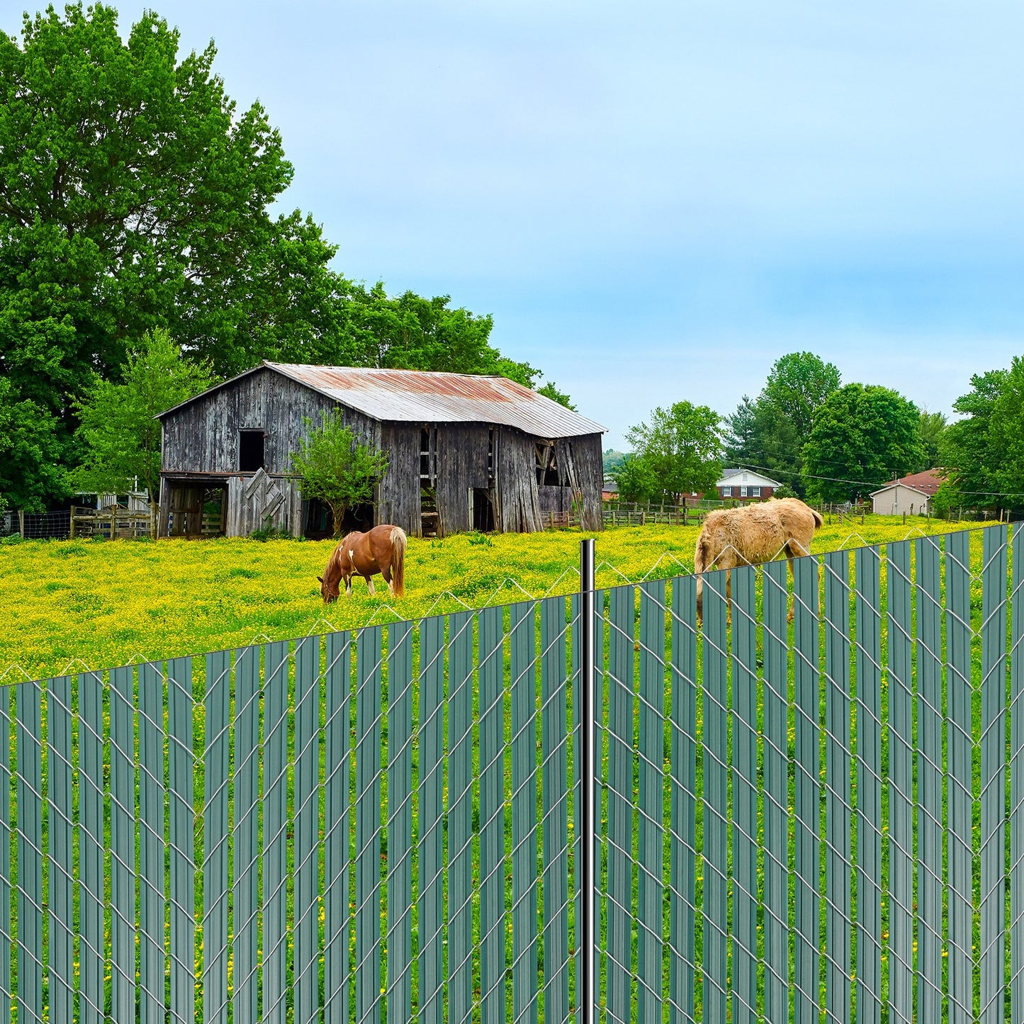 Bottom Locking Privacy Slats, Double-Wall Vertical Bottom-Locking Slats with Wings for Chain-Link Fence, High-Density HDPE Chain Link Slats Ideally Fit 4' High Fence for Garden and Farm(Green)
