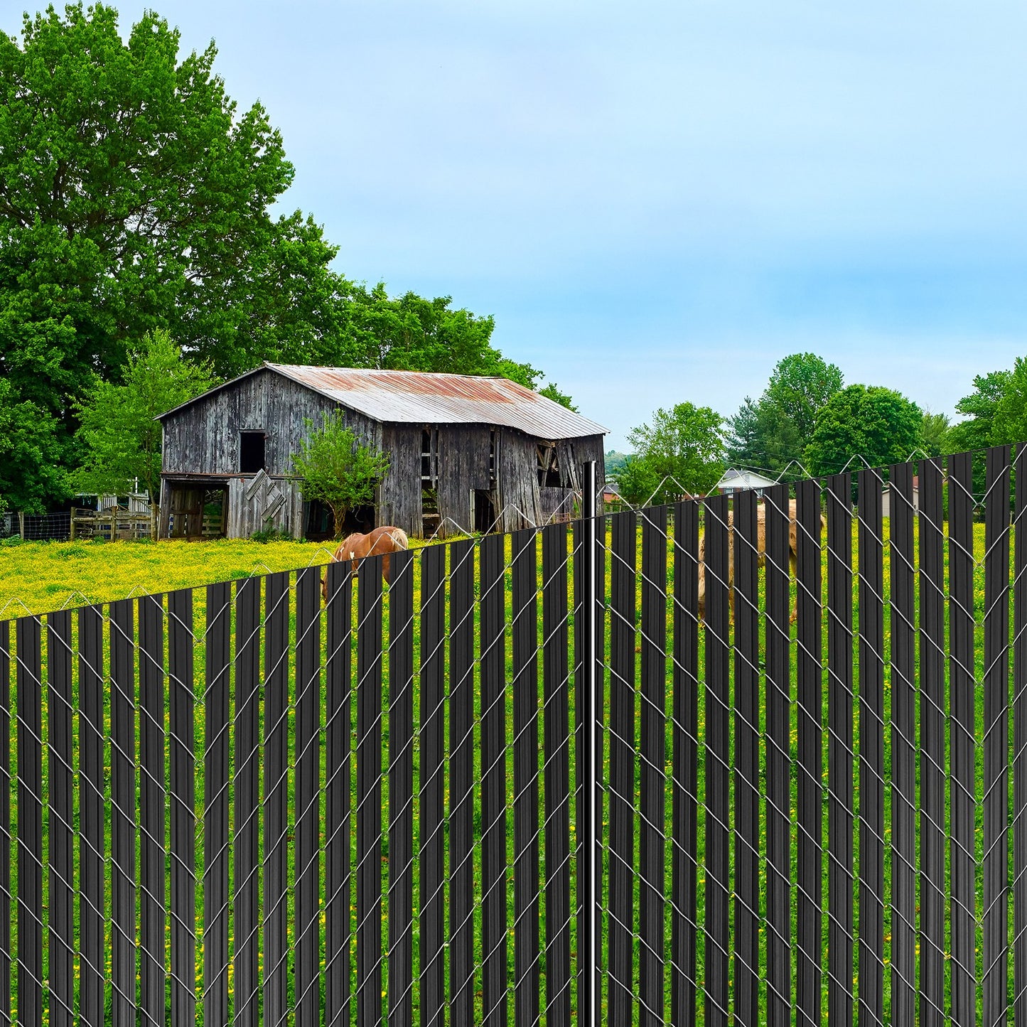 Bottom Locking Privacy Slats, Double-Wall Vertical Bottom-Locking Slats with Wings for Chain-Link Fence, High-Density HDPE Chain Link Slats Ideally Fit 8' High Fence for Garden and Farm(Black)