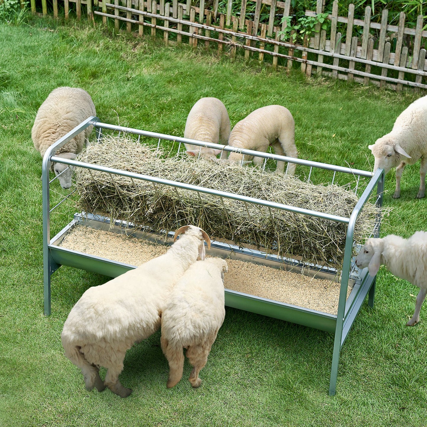 Livestock Hay Feeder, 2 in 1 Grain & Hay Feeder, 80-Gallon Capacity Pasture Feeder, 59" Long Goat Hay Feeder with Deeper Feeding Pan, Heavy Duty Steel Grain & Hay Holder for Sheep Farms Sheds