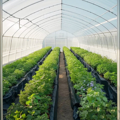 10' x 100' (ca. 3 x 30 m) große, hochbelastbare Kunststofffolie, 6 Mil (ca. 0,15 mm) dicke Kunststofffolie, Abdeckplane für Maler, geeignet für Kriechkeller, Dampfsperre, schwarz-weiß, vielseitig einsetzbar