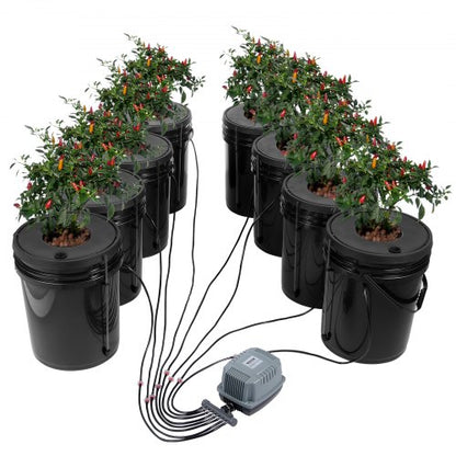 DWC-Hydroponik-Anbausystem, Hydroponisches Anbausystem, Tiefwasserkultur-System mit 8 Eimern (5 Gallonen), DWC-System mit Luftpumpe, Ausströmersteinen und Wasserstandsanzeige für Blattgemüse