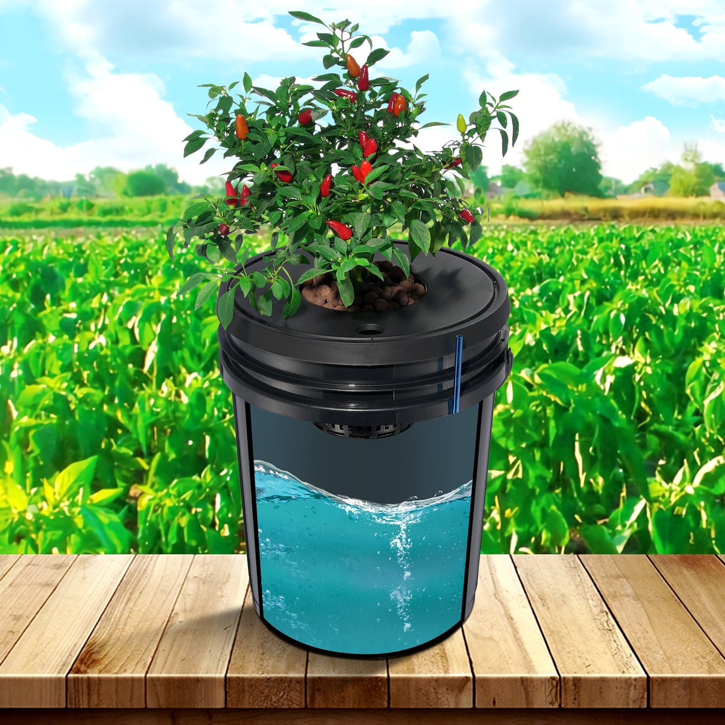 DWC-Hydroponik-Anbausystem, Hydroponisches Anbausystem, Tiefwasserkultur-System mit 8 Eimern (5 Gallonen), DWC-System mit Luftpumpe, Ausströmersteinen und Wasserstandsanzeige für Blattgemüse