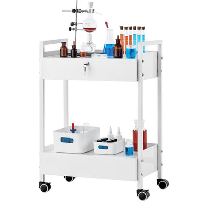 Lab Cart, 2 Tiers Stainless Steel Utility Cart, Medical Cart with 2 Drawers, Rolling Lab Cart White Paint, Serving Cart with Swivel Casters for Laboratory, Hospital, Dental, Salon and Beauty