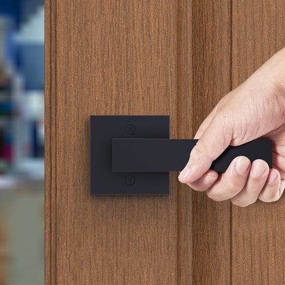 Türgriff-Blindgriff, 2 Stück, einseitig, nicht drehbar, zum Drücken/Ziehen, modernes quadratisches Türgriff-Set, beidseitig verwendbar für rechts- und linksdrehende Türen, für Speisekammer-, Schrank- und Fenstertüren, Mattschwarz