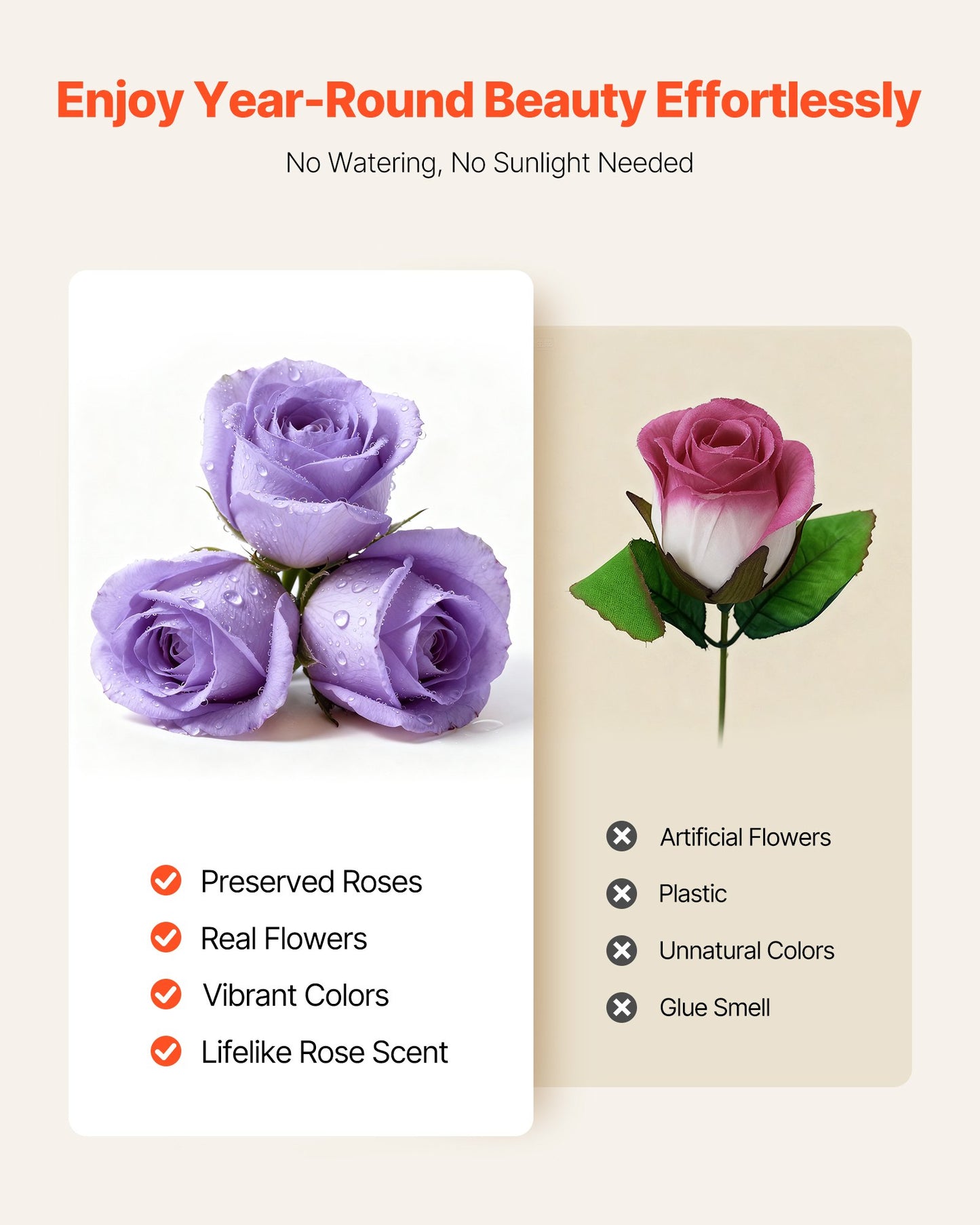 Ewige Blumen, 50 konservierte Rosen in einer Box, Unsterblicher Blumenstrauß, Geburtstagsgeschenk für Frauen, Ehefrauen, Mütter, Jahrestag, Valentinstag, Weihnachten, Lavendel-Lila