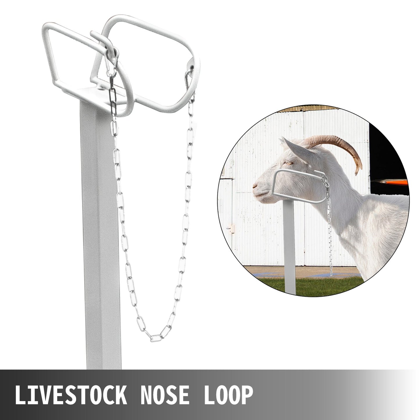 Livestock Stand 51x23 inches, Trimming Stand with Straight Head Piece, Goat Trimming Stand Metal Frame Sheep Shearing Stand Livestock Trimming Stands